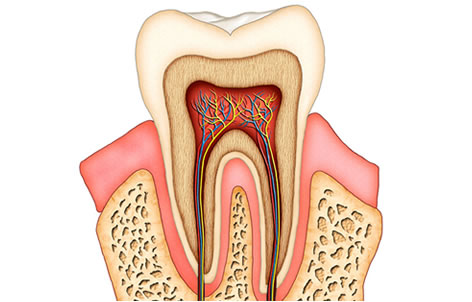root-canal-therapy-newmarket-newmarket-dentist-keep28-dental-clinic